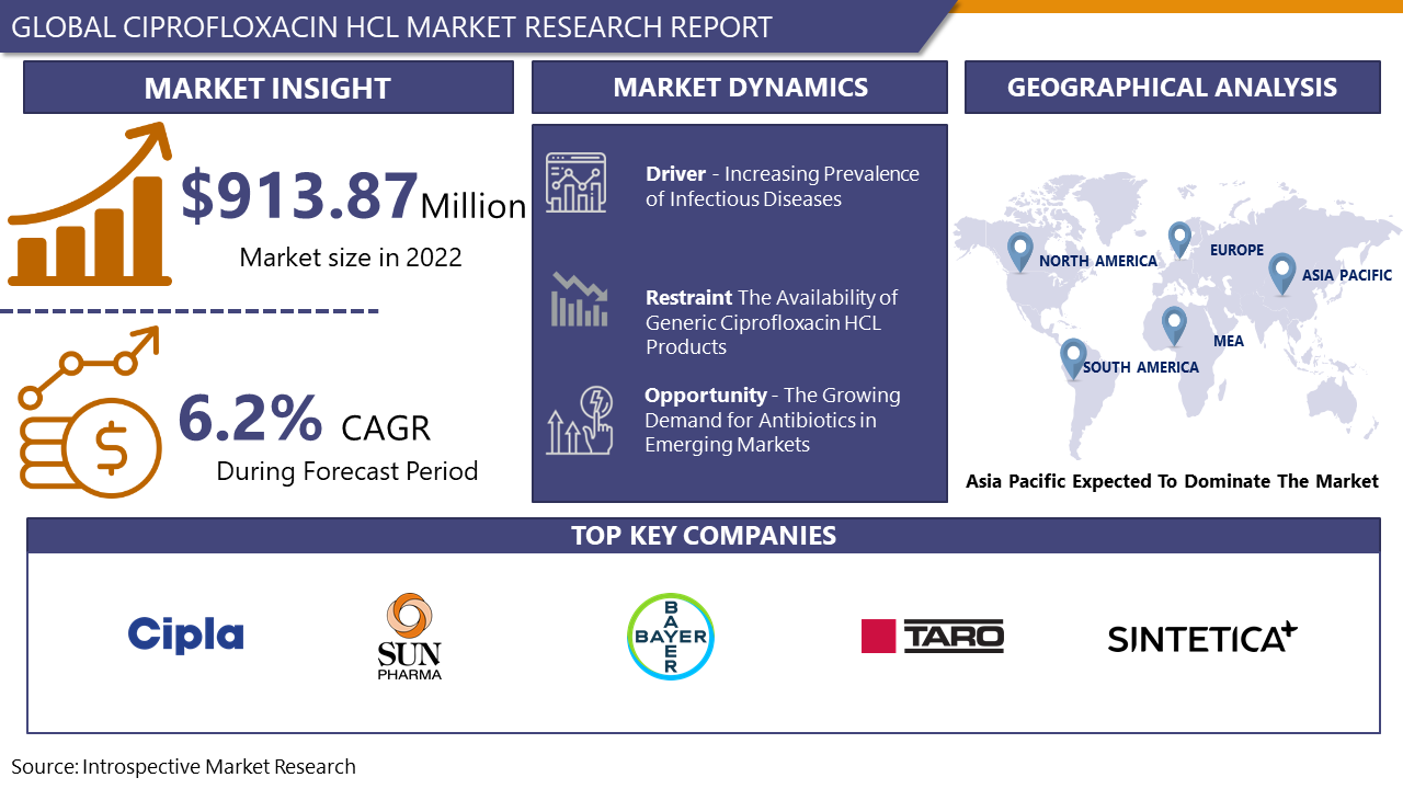 Ciprofloxacin HCl Market - Overview and Outlook by (2024–2032) | IMR