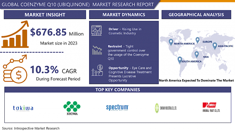 Global Coenzyme Q10 (Ubiquinone)