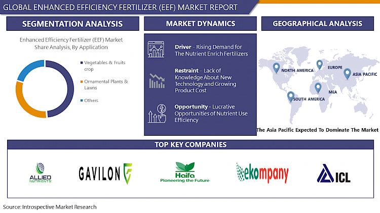 Enhanced Efficiency Fertilizer (EEF) Market