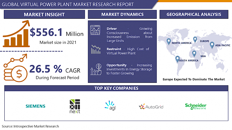 Virtual Power Plant Market Current Analysis by Market Share IMR