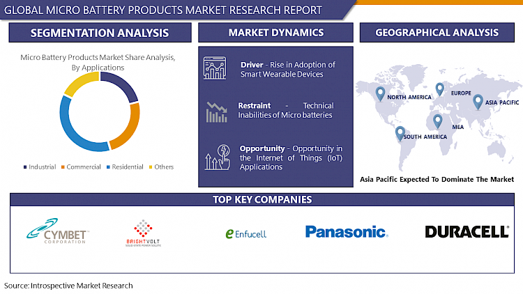 Micro Battery Products Market