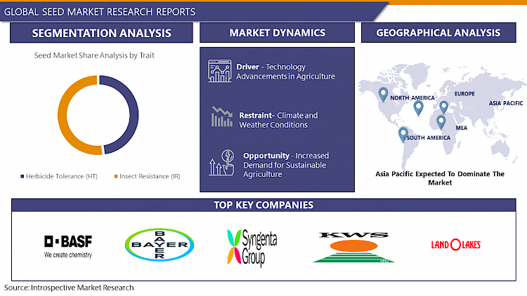 Seed Market-Global Industry Growth and Trend Analysis | IMR