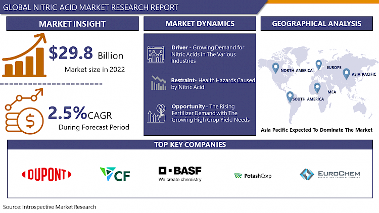 Nitric Acid Market-Global Size & Upcoming Industry Trends | IMR