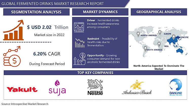 Fermented Drinks Market-Current Analysis by Market Share | IMR