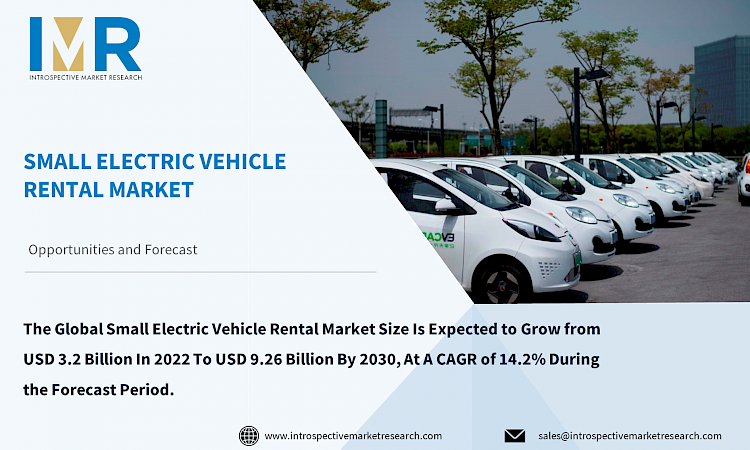 Small Electric Vehicle Rental