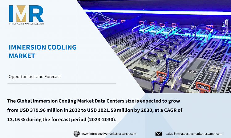 Immersion Cooling in Data Centers
