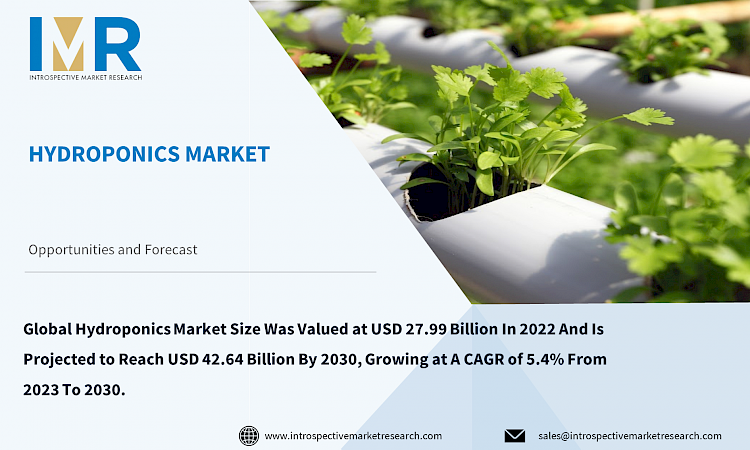 Hydroponics Market