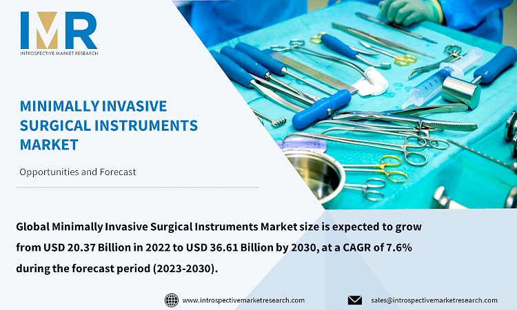 Minimally Invasive Surgical Instruments