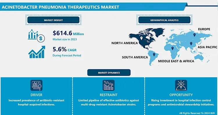 Acinetobacter Pneumonia Therapeutics Market - Global Demand