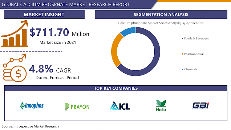 Calcium Phosphate Market