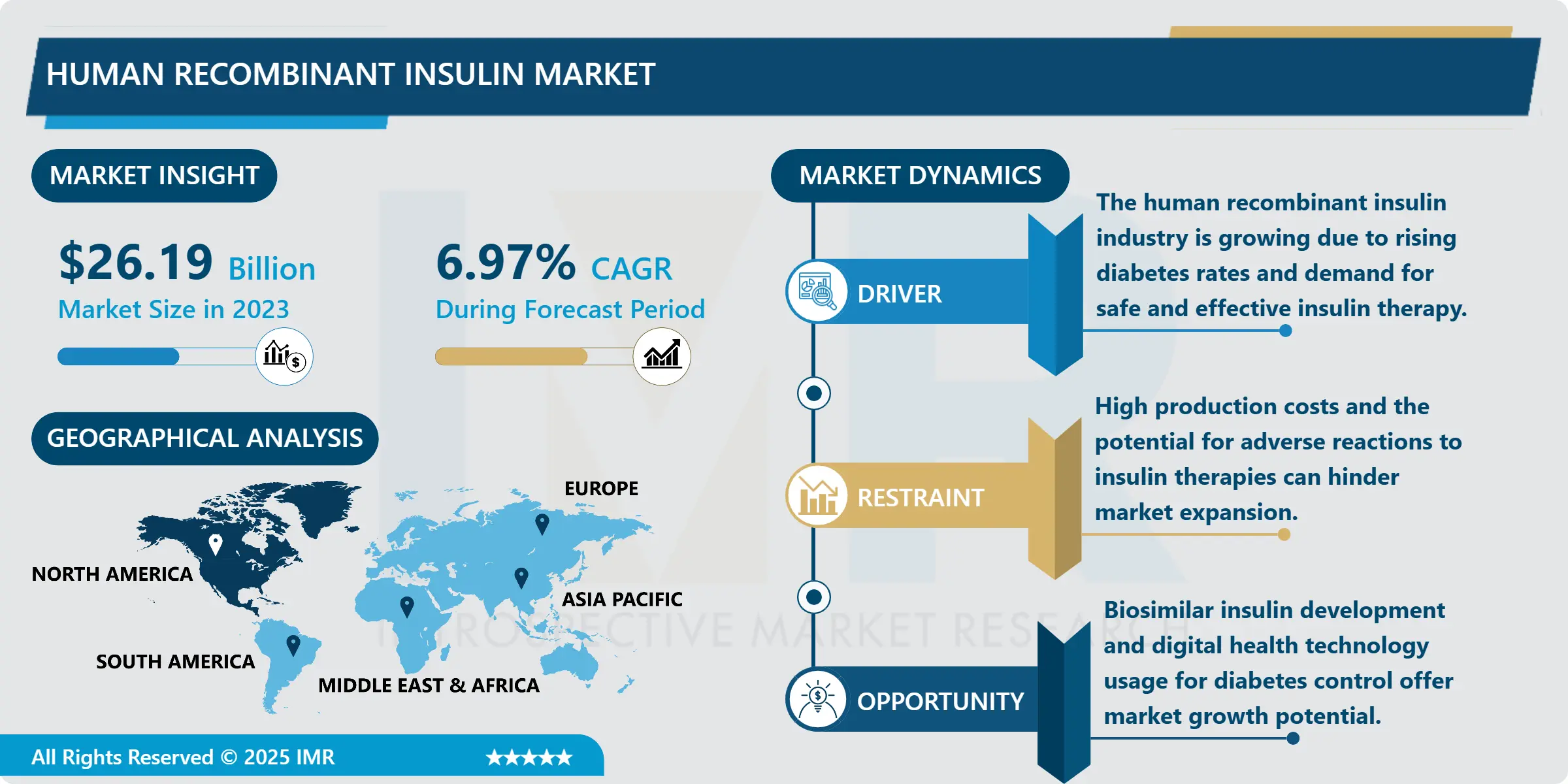 Human Recombinant Insulin Market Size Was Valued at USD 26.19 Billion in 2023, and is Projected to Reach USD 48.03 Billion by 2032, Growing at a CAGR of 6.97% From 2024-2032.