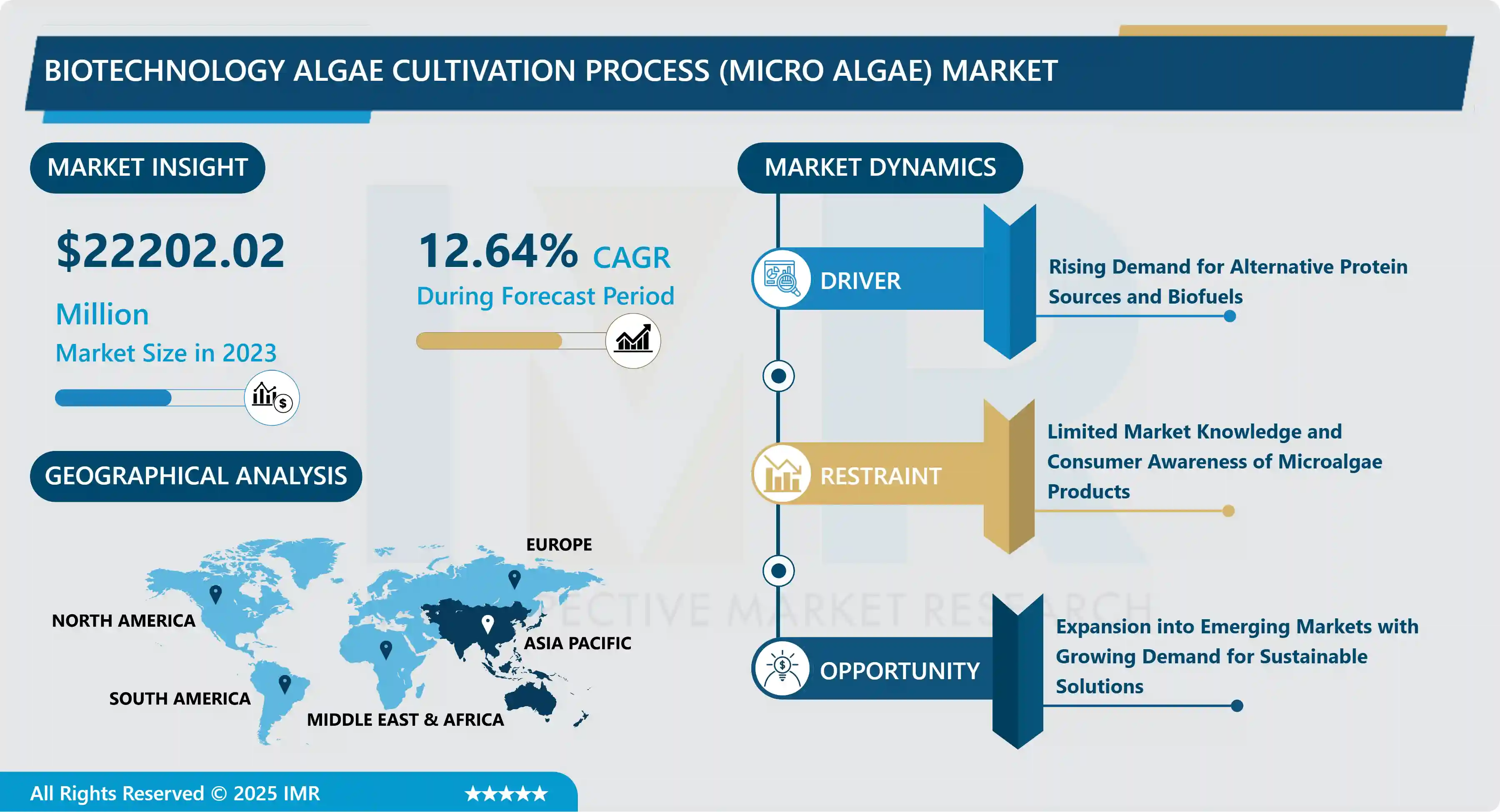 Biotechnology Algae Cultivation Process (Micro Algae) Market