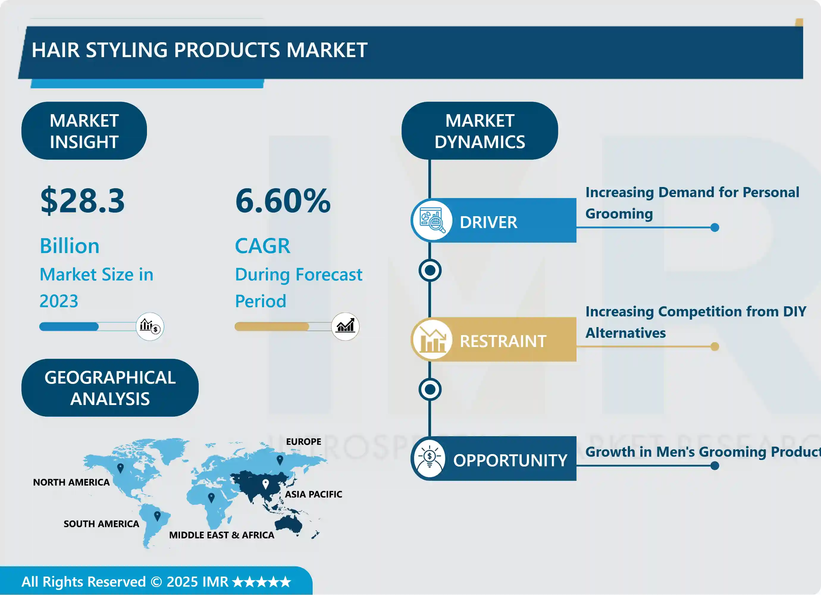 Hair Styling Products Market 