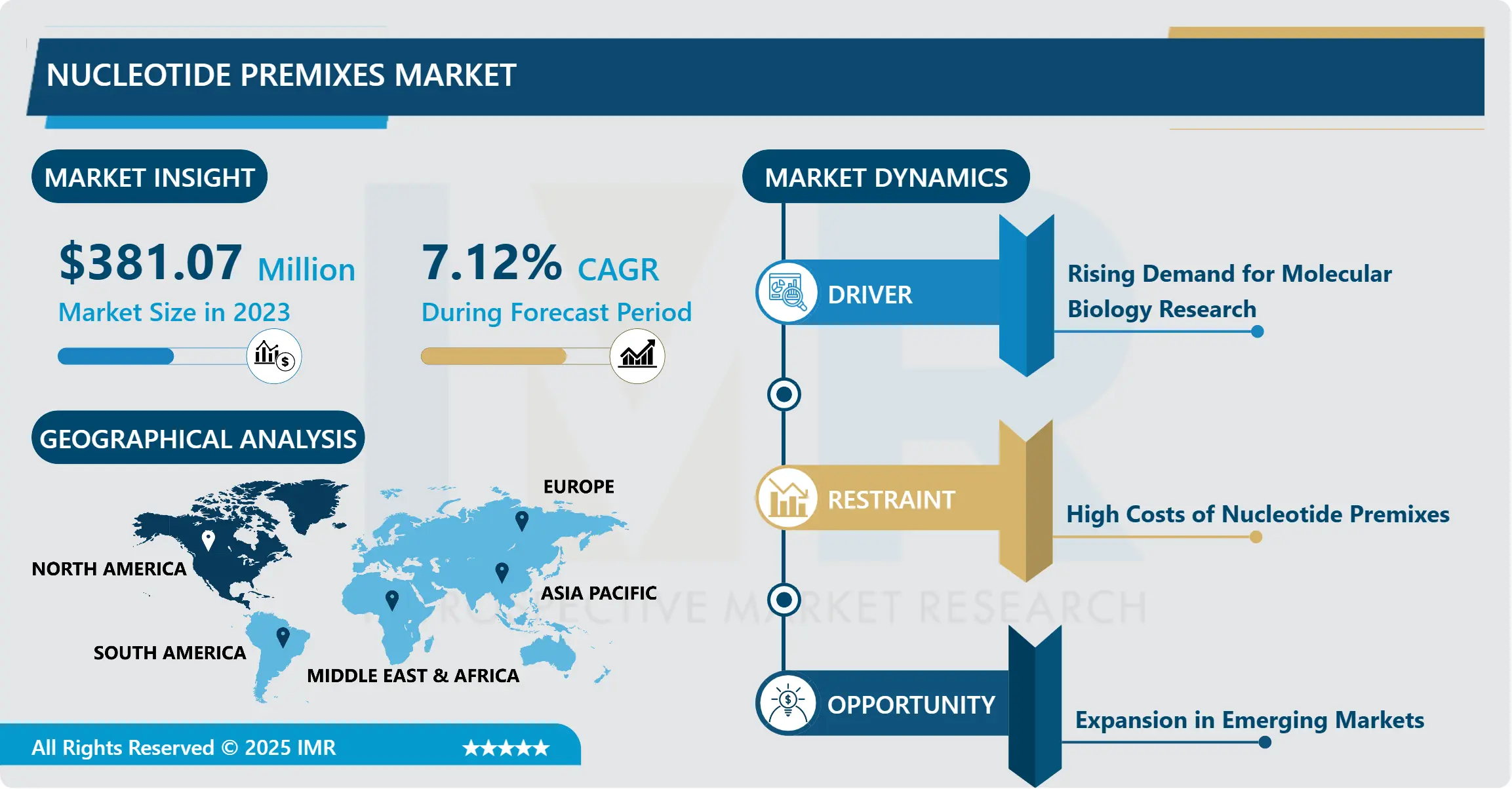 Nucleotide Premixes Market 