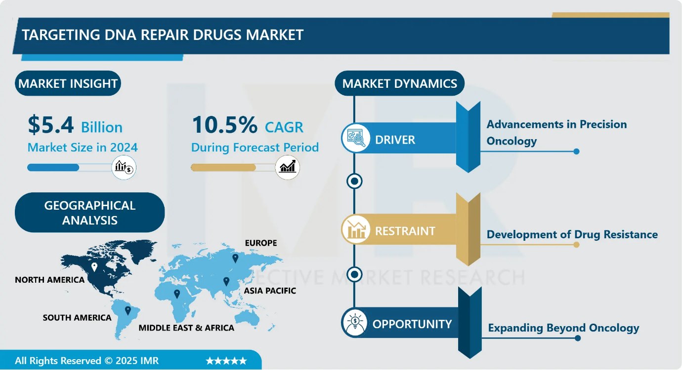 Targeting DNA Repair Drugs Market 