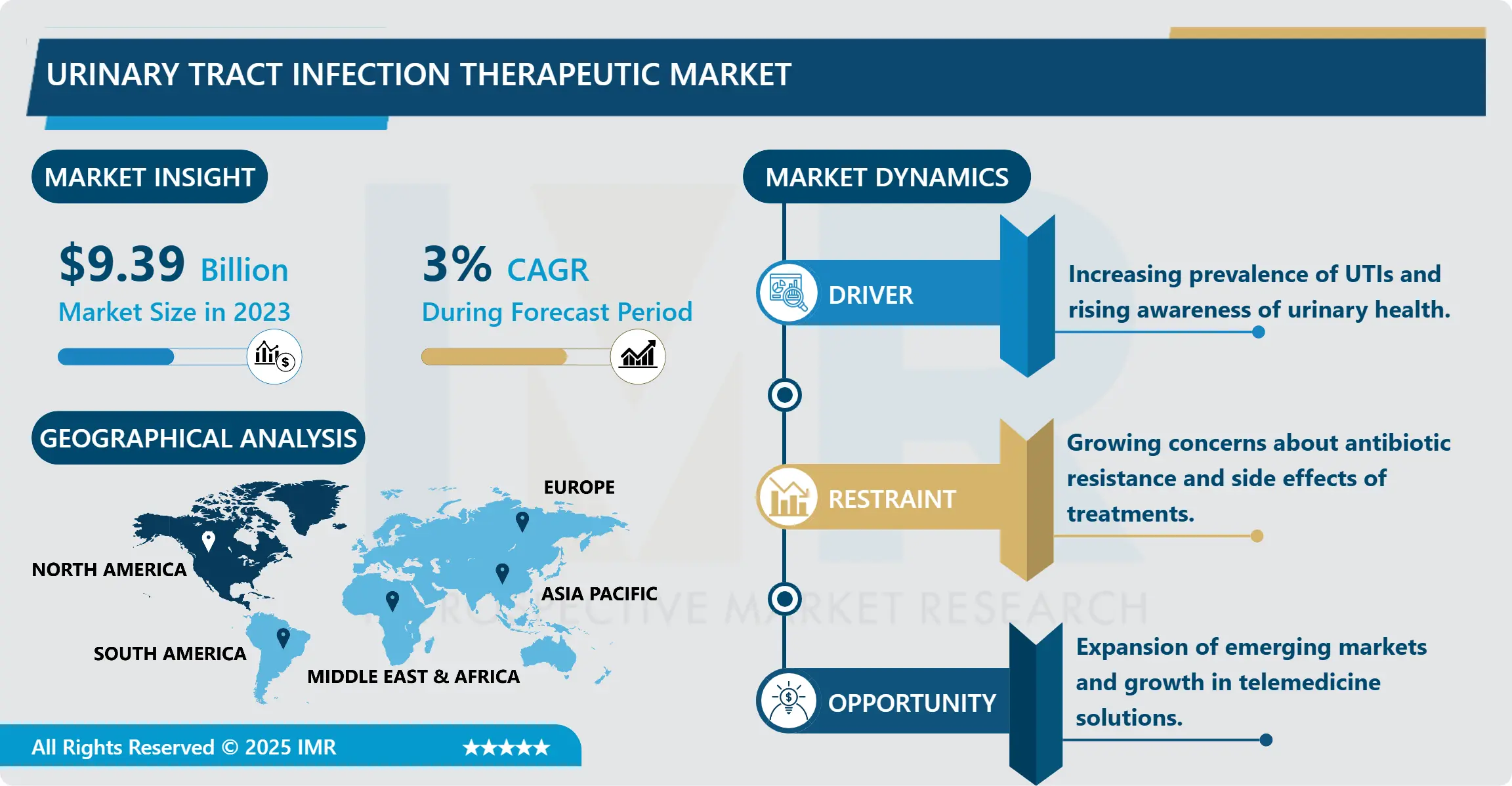 Urinary Tract Infection Therapeutic Market