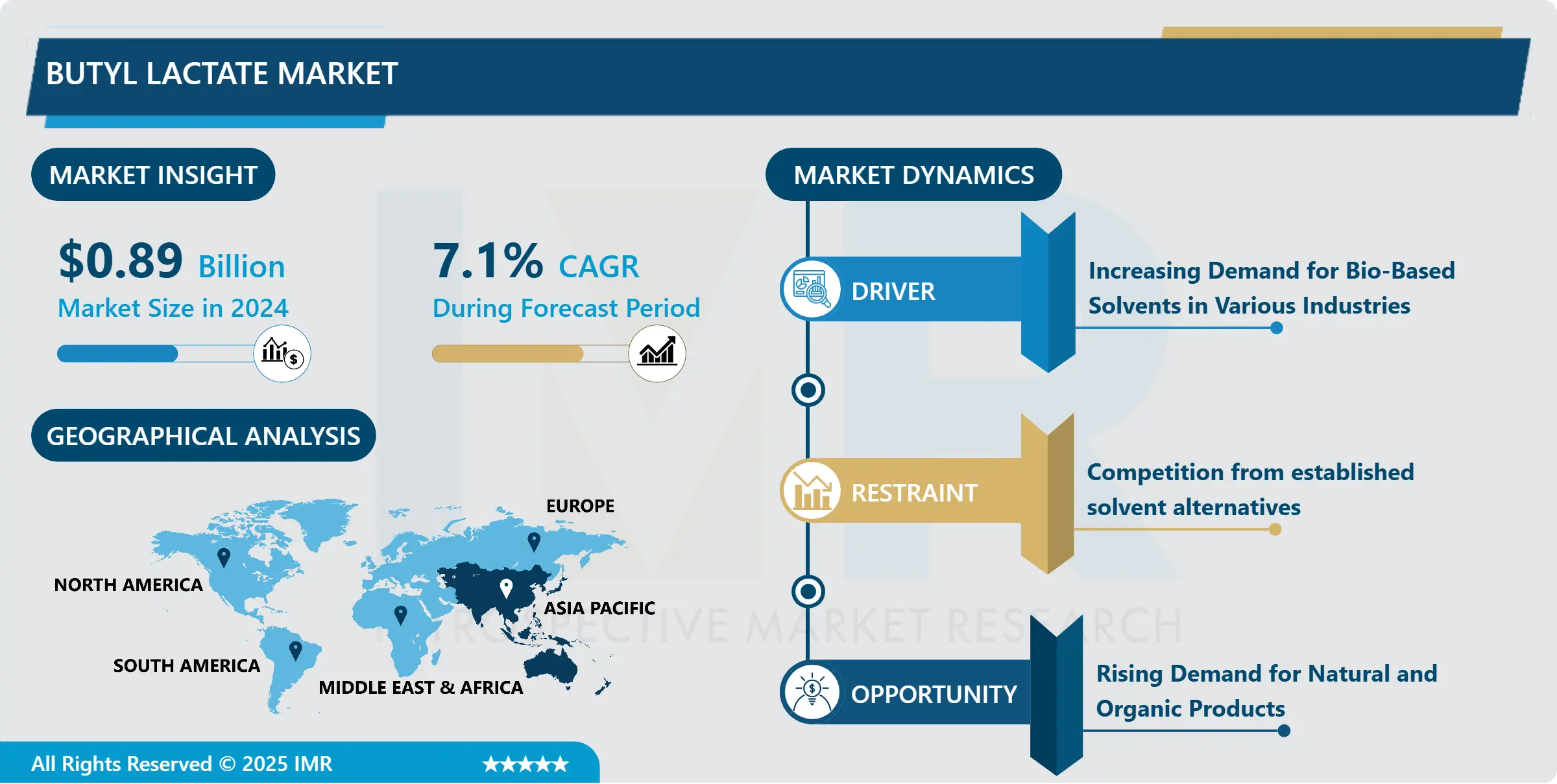 Butyl Lactate Market