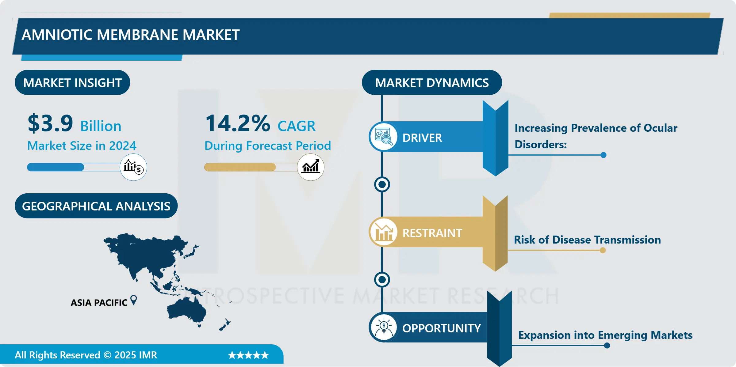 Amniotic Membrane Market