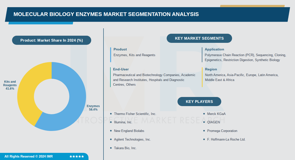 Molecular Biology Enzymes Market
