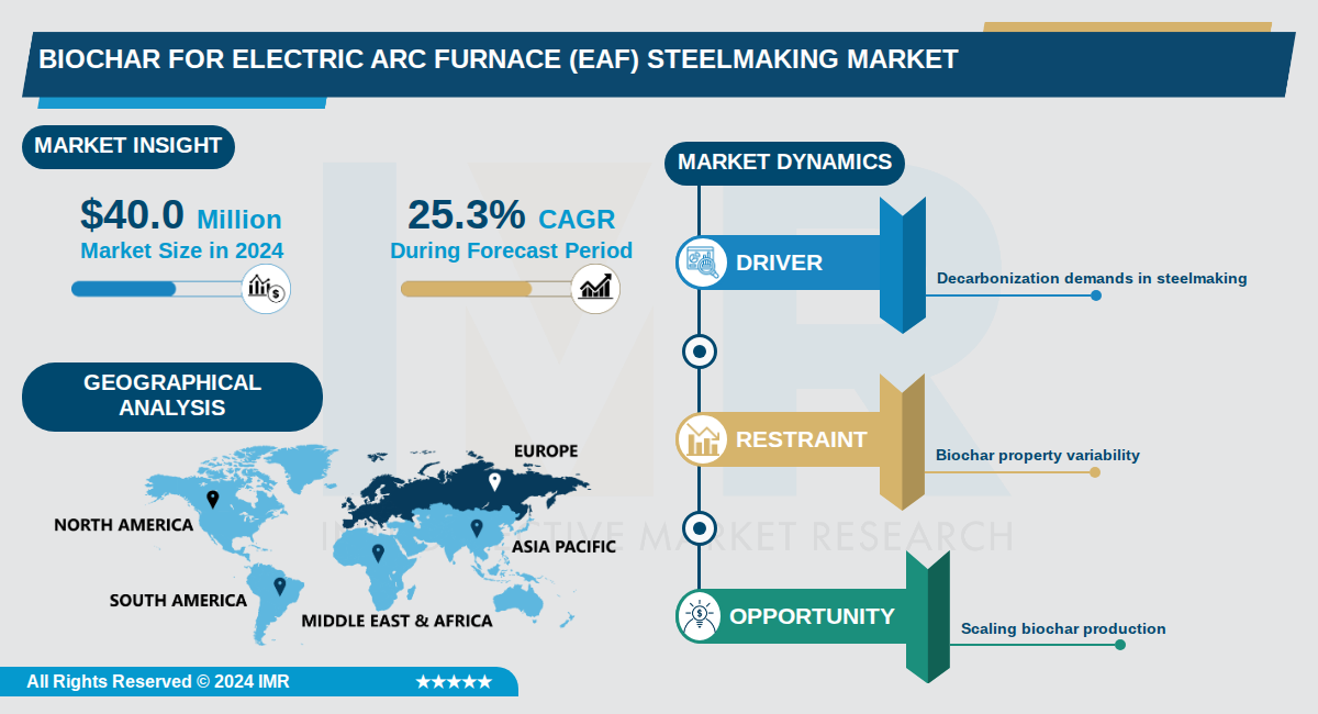 Biochar For Electric Arc Furnace (Eaf) Steelmaking Market