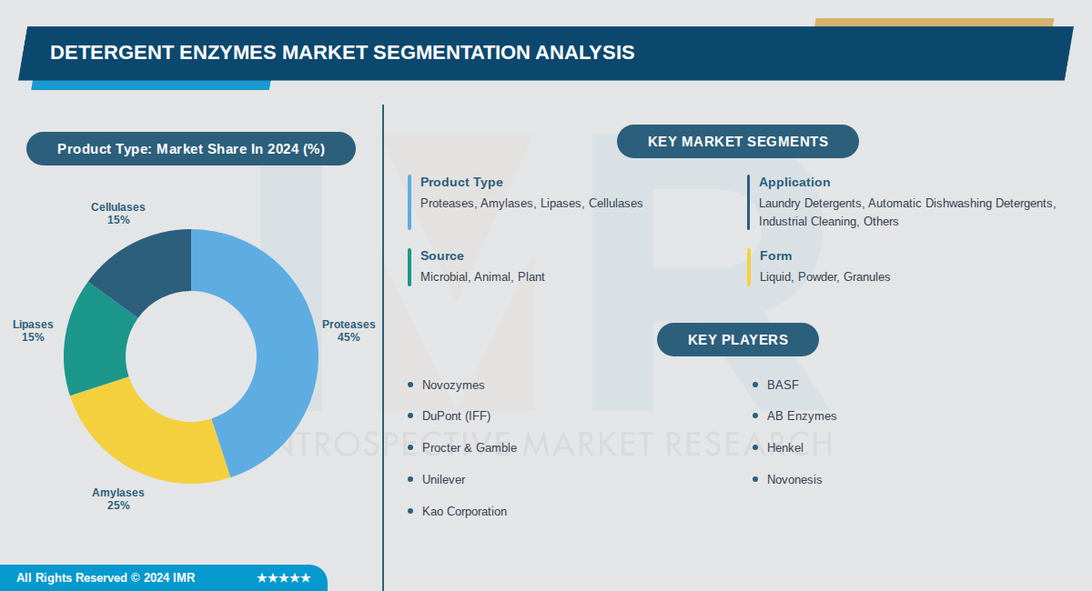 Detergent Enzymes Market