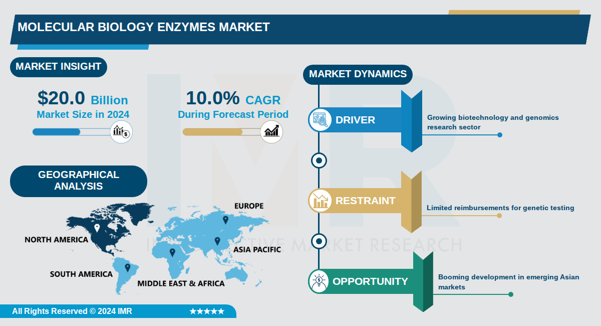 Molecular Biology Enzymes Market
