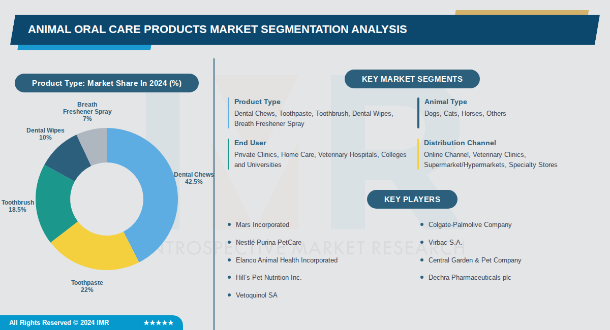 Home Steam Cleaner Market