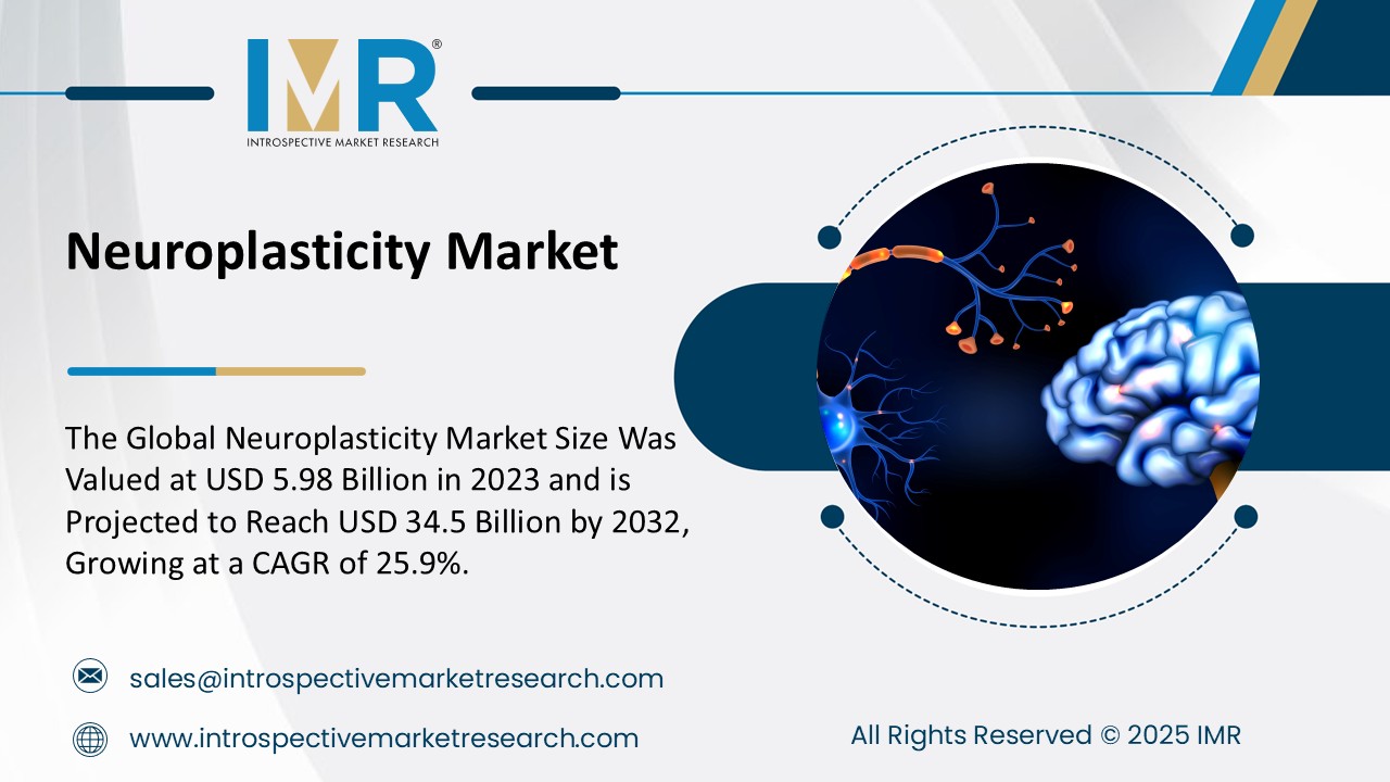 Neuroplasticity Market To Reach USD 34.5 Billion by 2032  