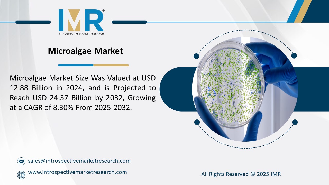 Microalgae Market is Projected to Reach USD 24.37 Billion by 2032
