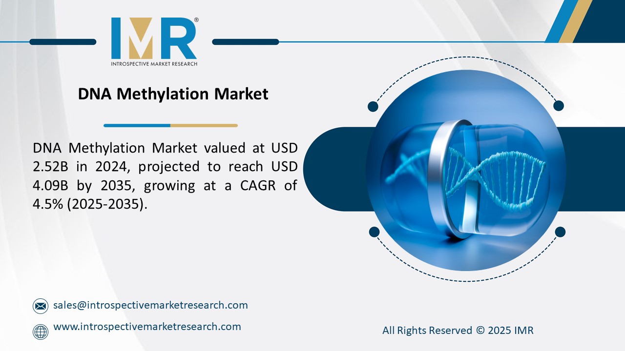 Expert market research and consulting to drive business decisions, growth, and strategic insights.