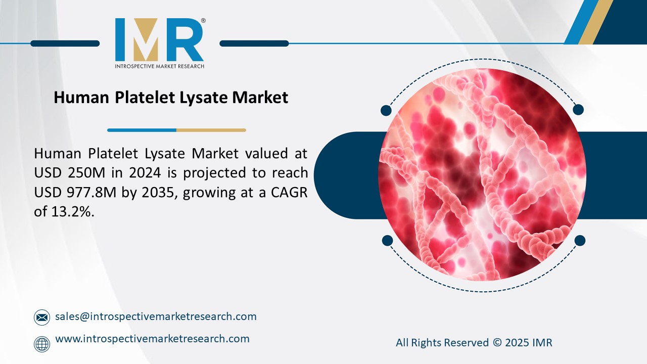 Expert market research and consulting to drive business decisions, growth, and strategic insights.