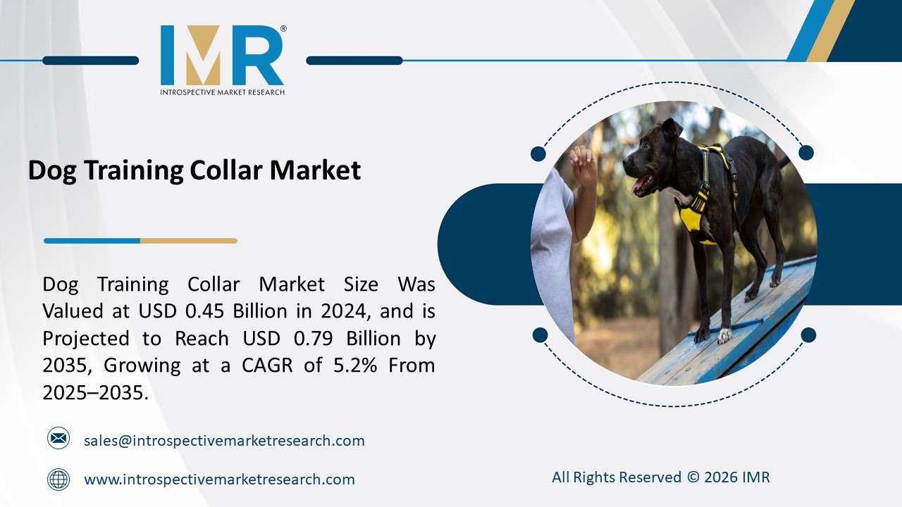 Expert market research and consulting to drive business decisions, growth, and strategic insights.