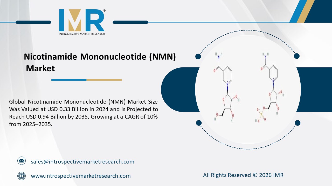 Expert market research and consulting to drive business decisions, growth, and strategic insights.