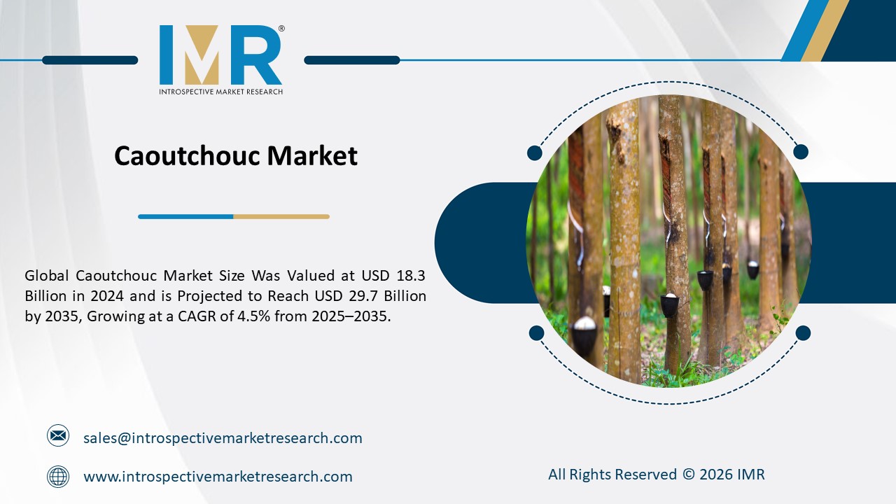 Expert market research and consulting to drive business decisions, growth, and strategic insights.