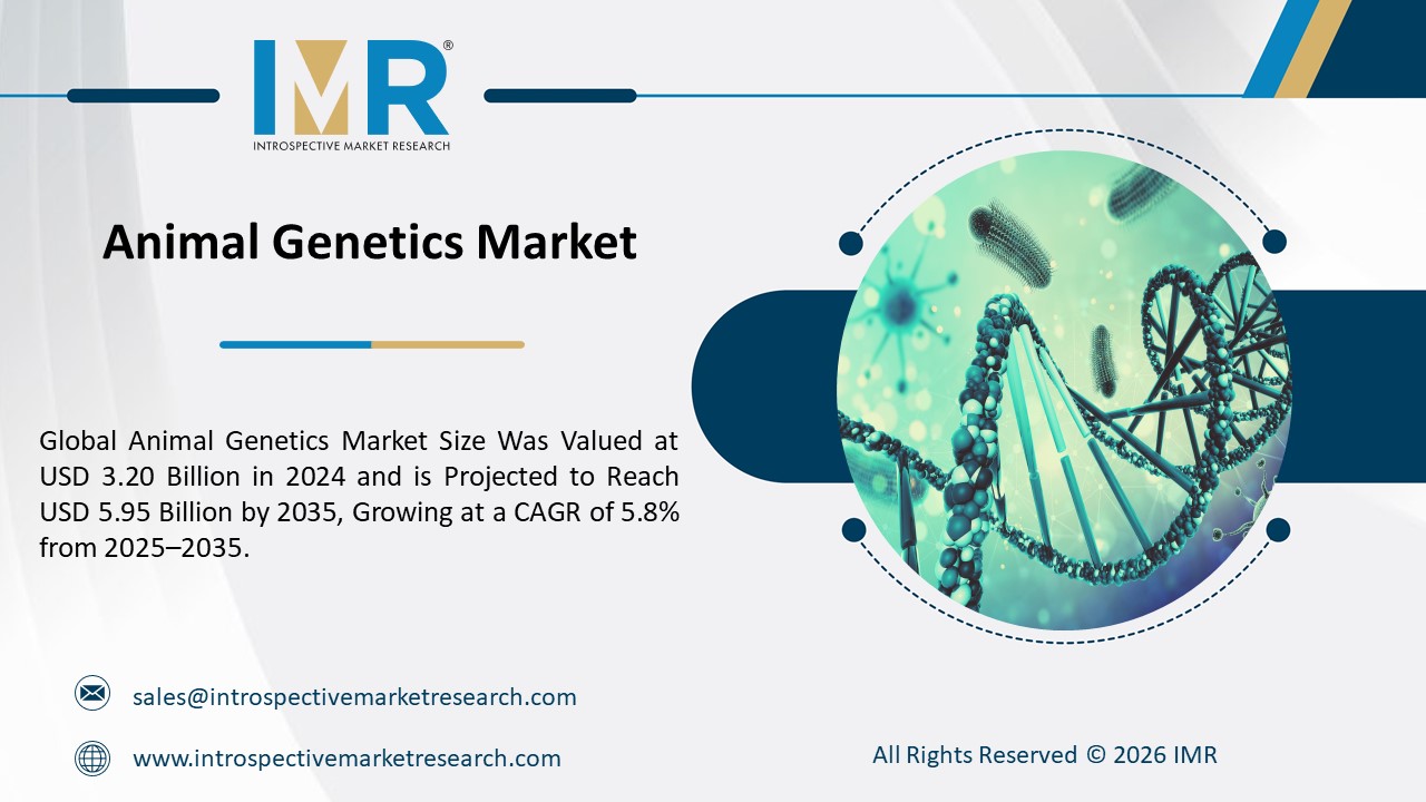 Expert market research and consulting to drive business decisions, growth, and strategic insights.