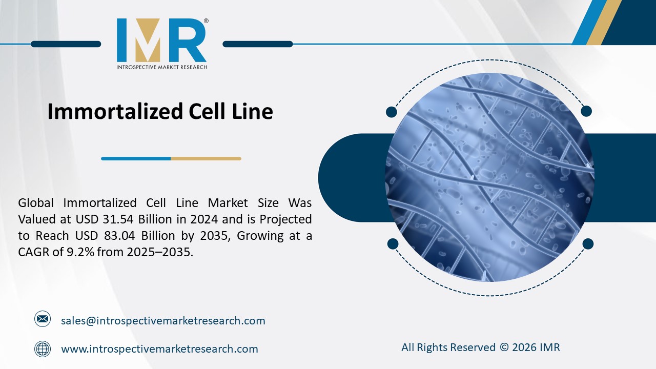 Expert market research and consulting to drive business decisions, growth, and strategic insights.