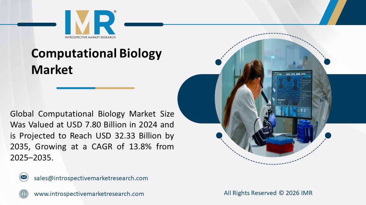 Expert market research and consulting to drive business decisions, growth, and strategic insights.