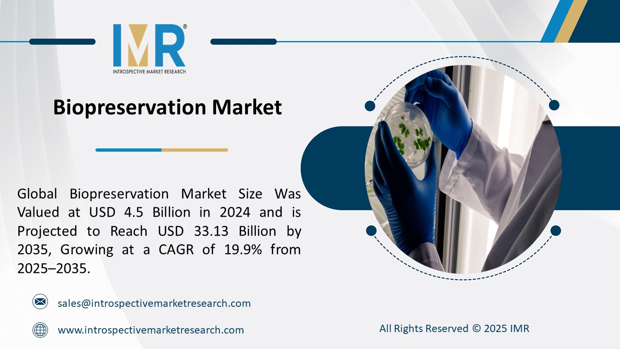 Expert market research and consulting to drive business decisions, growth, and strategic insights.