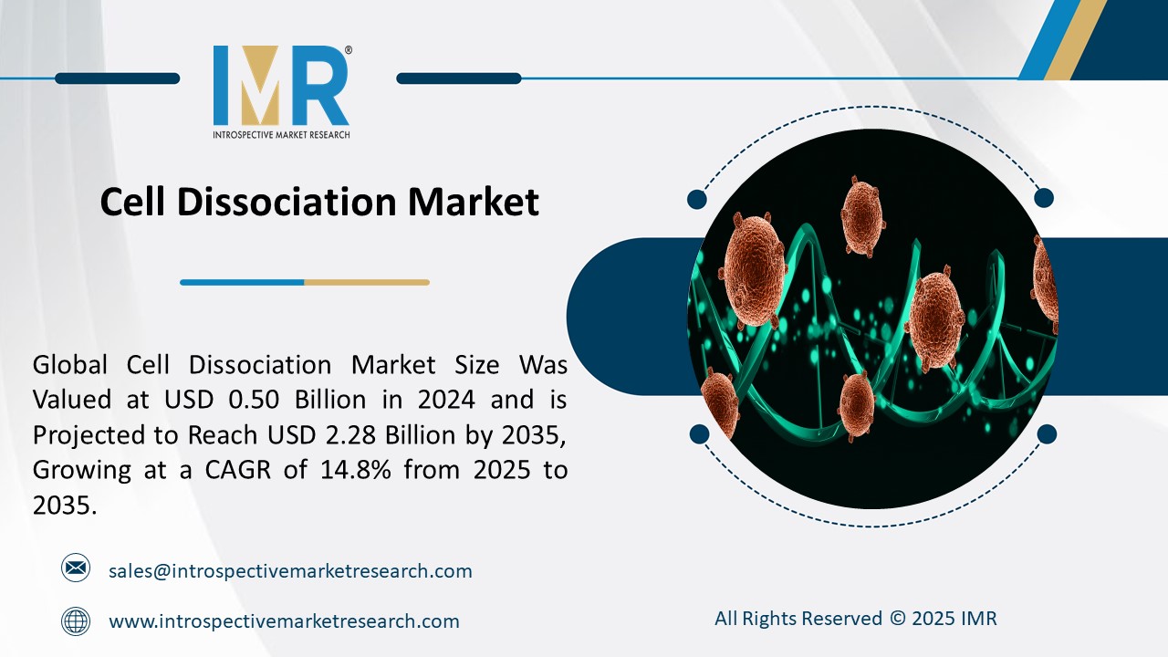 Expert market research and consulting to drive business decisions, growth, and strategic insights.