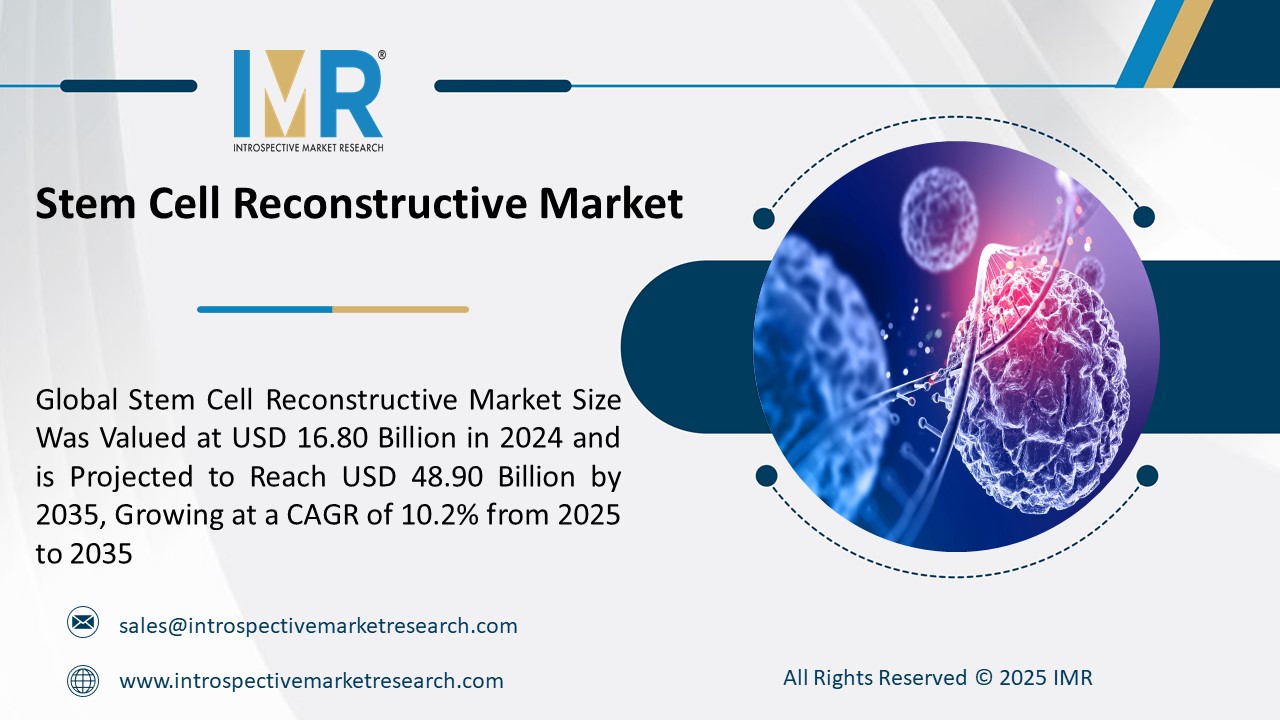 Expert market research and consulting to drive business decisions, growth, and strategic insights.