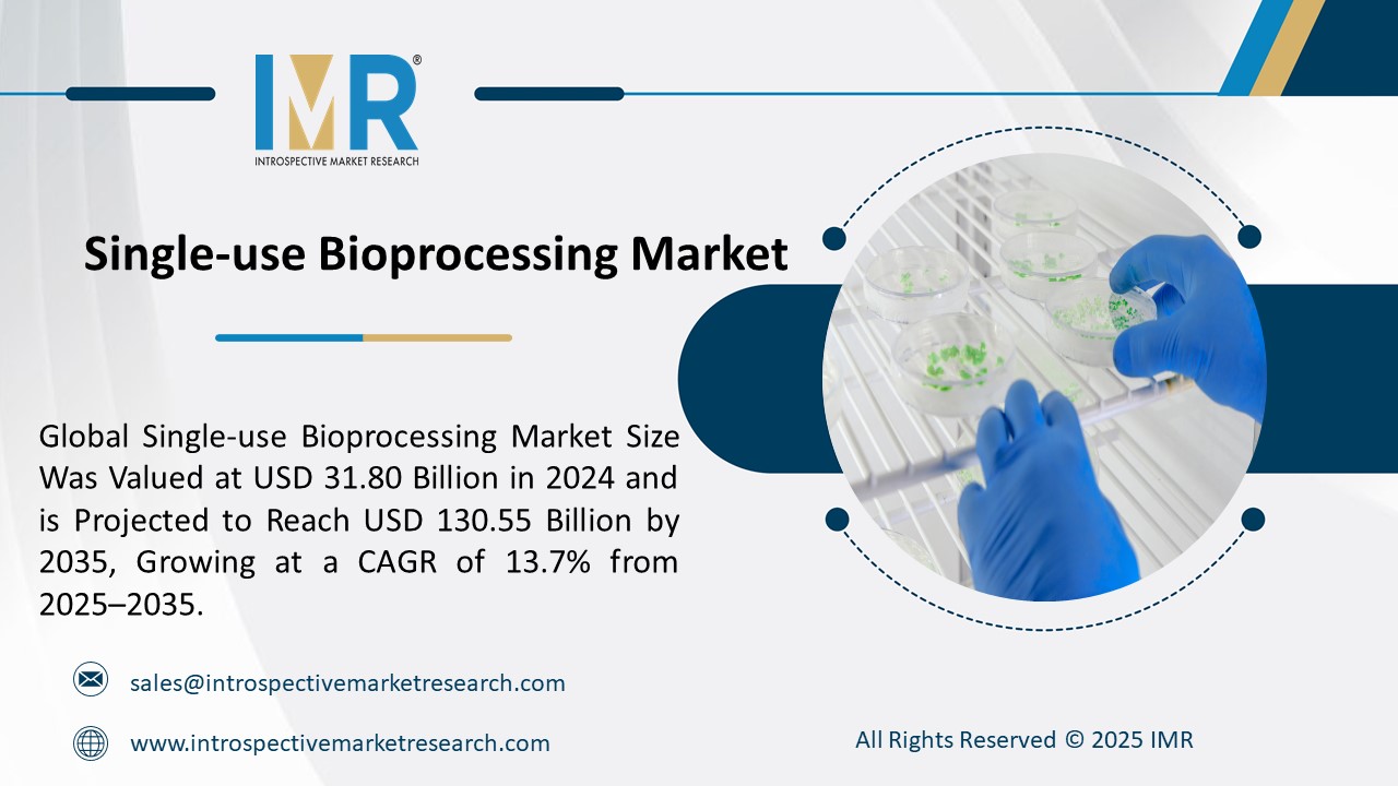 Expert market research and consulting to drive business decisions, growth, and strategic insights.