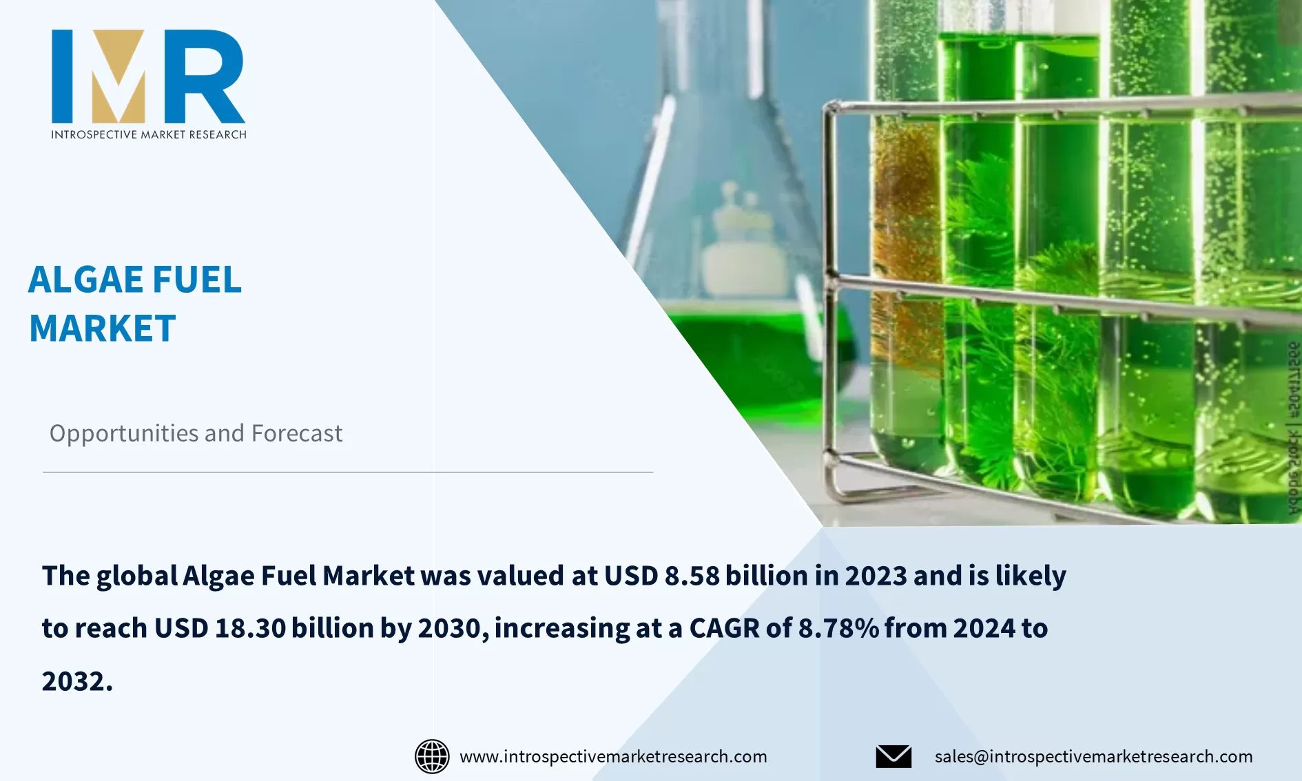Algae Fuel Market To Reach USD 18.30 billion By Year 2030