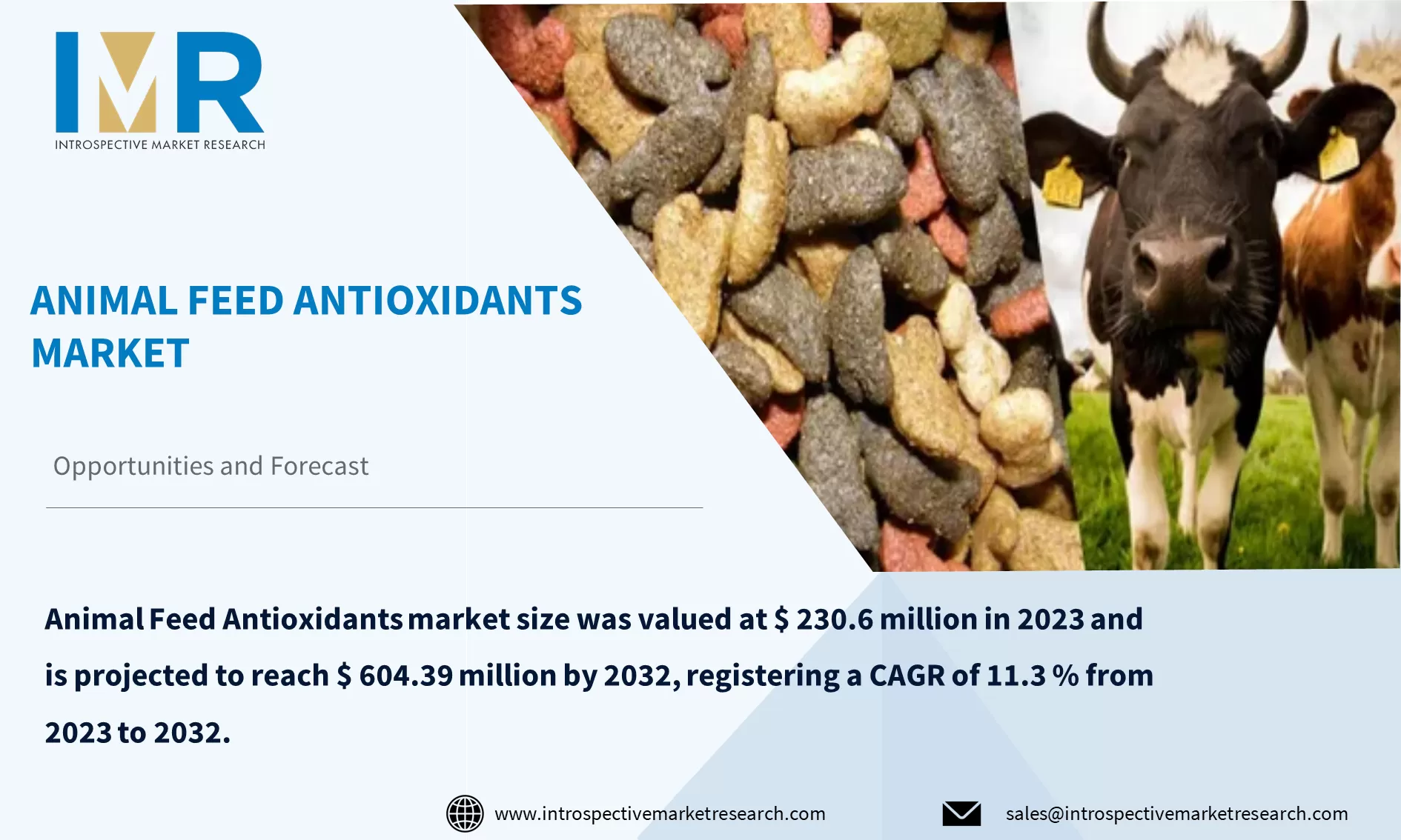 Animal Feed Antioxidants Market To Reach USD 604.39 million By Year 2032