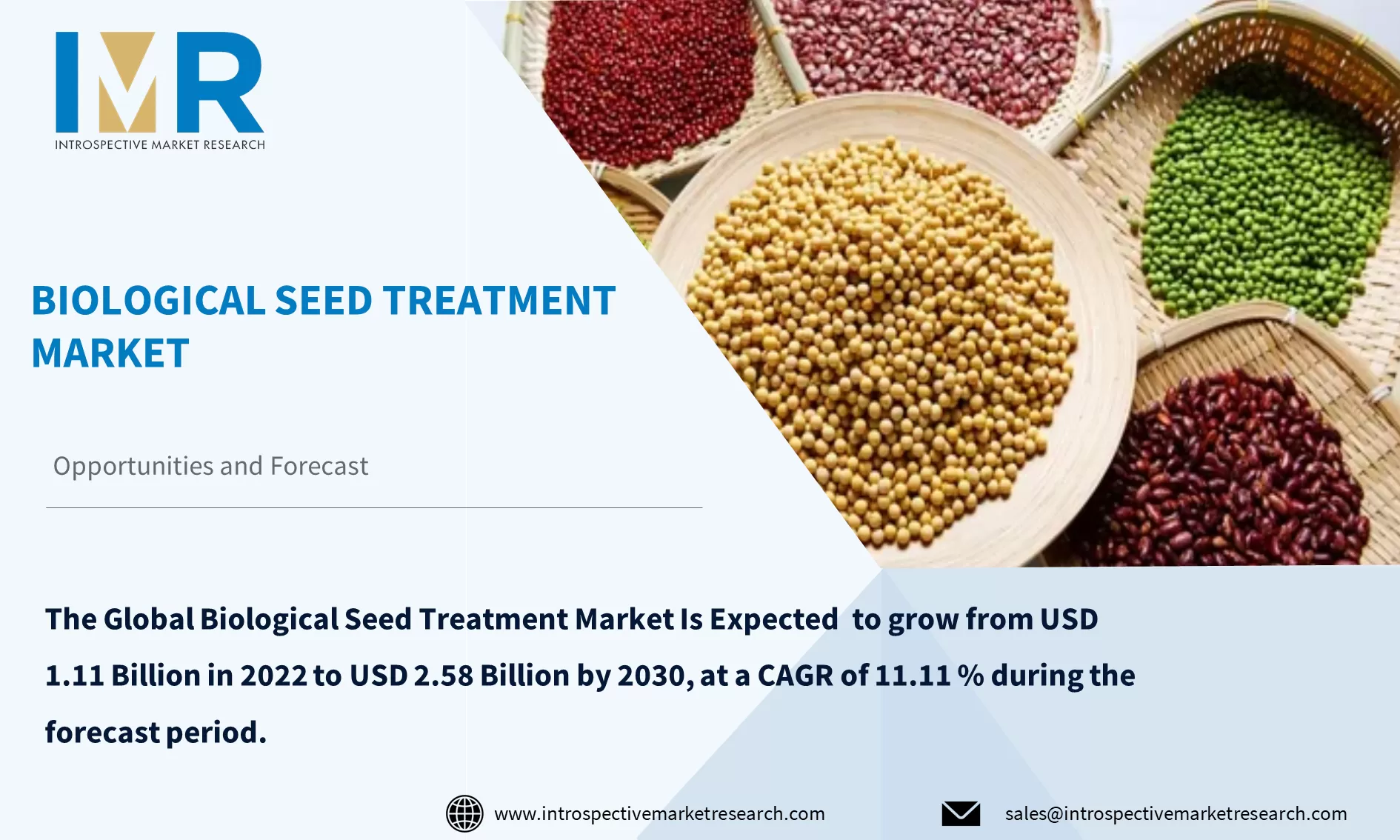 Biological Seed Treatment Market To Reach 2.58 Billion by Year 2030