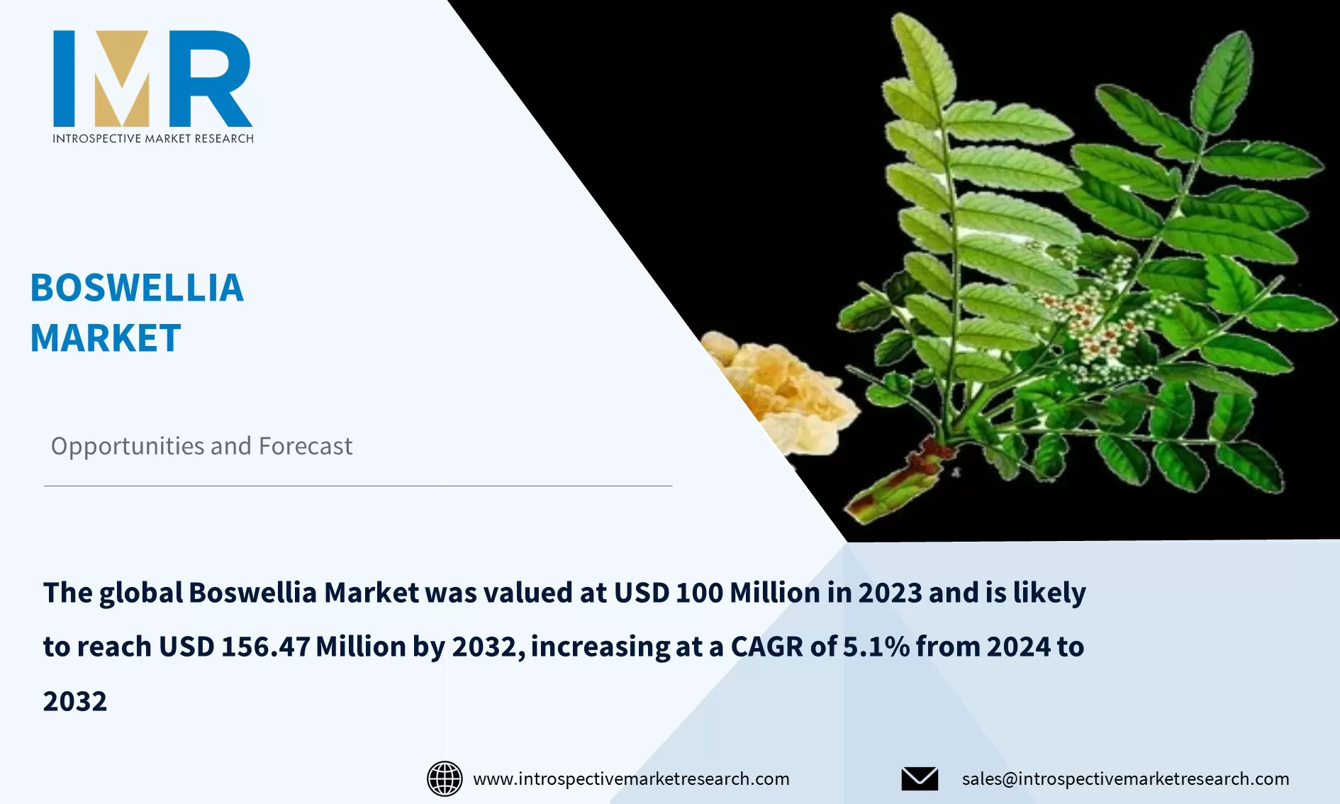 Boswellia Market To Reach USD 156.47 Billion By Year 2032