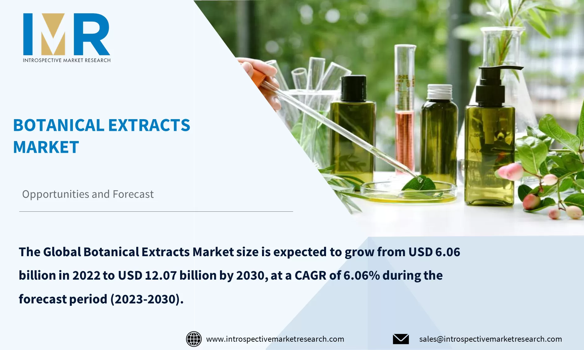 Botanical Extracts Market To Reach USD 12.07 billion by Year 2030
