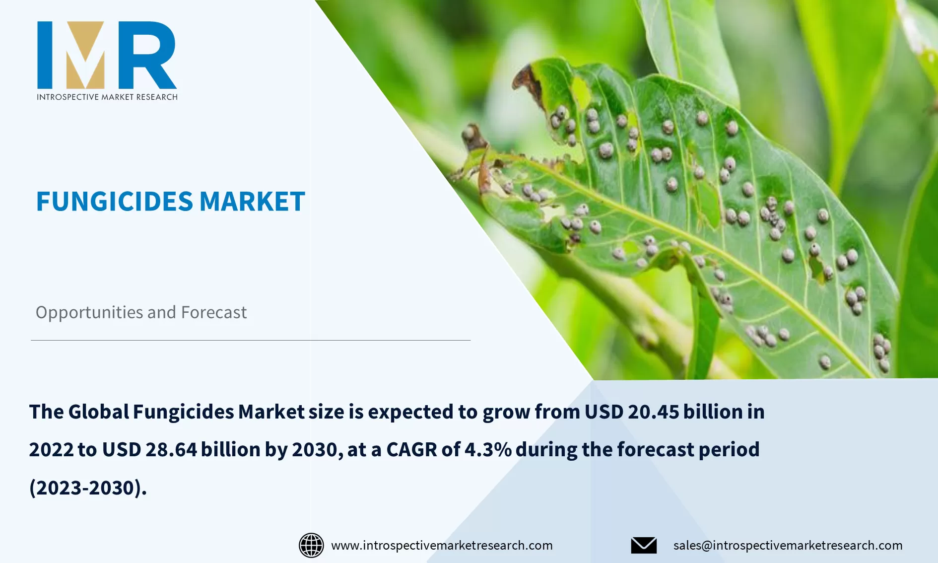 Fungicides Market To Reach USD 28.64 Billion by Year 2030