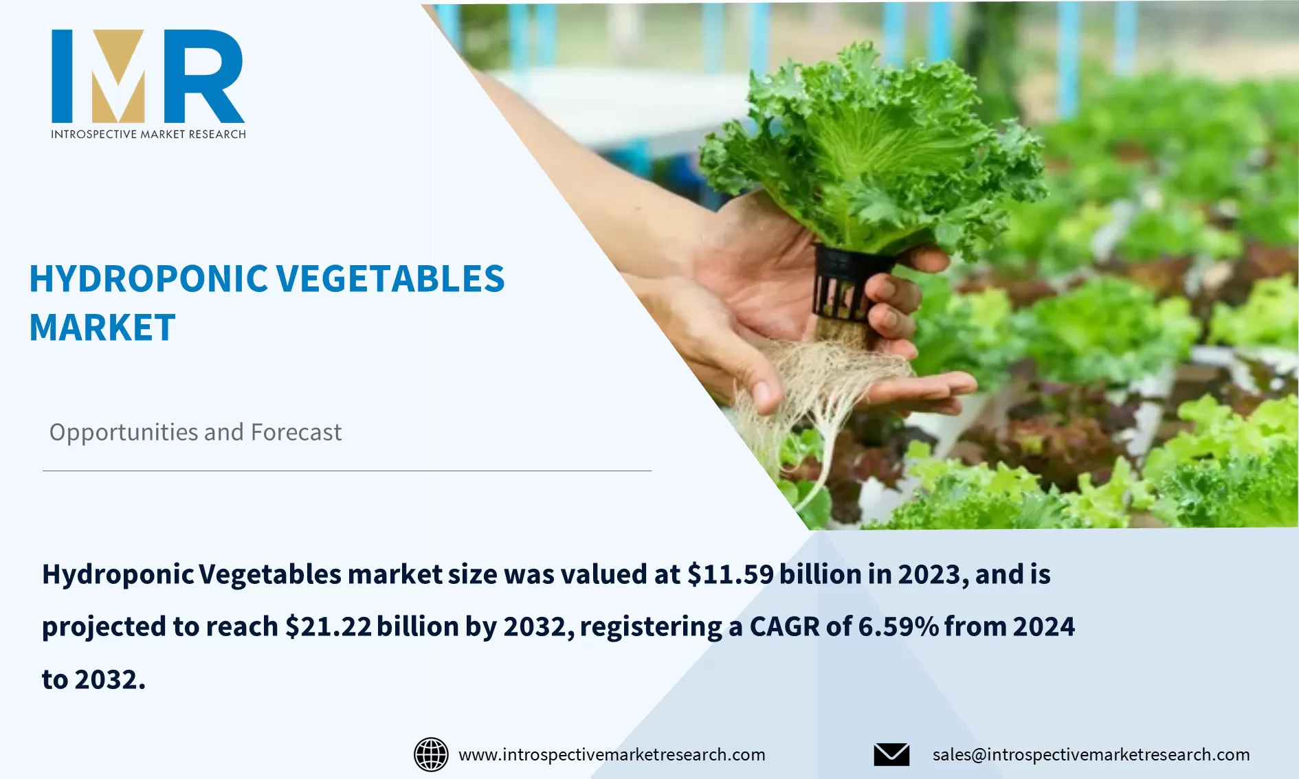 Hydroponic Vegetables Market To Reach USD 21.22 billion By Year 2032