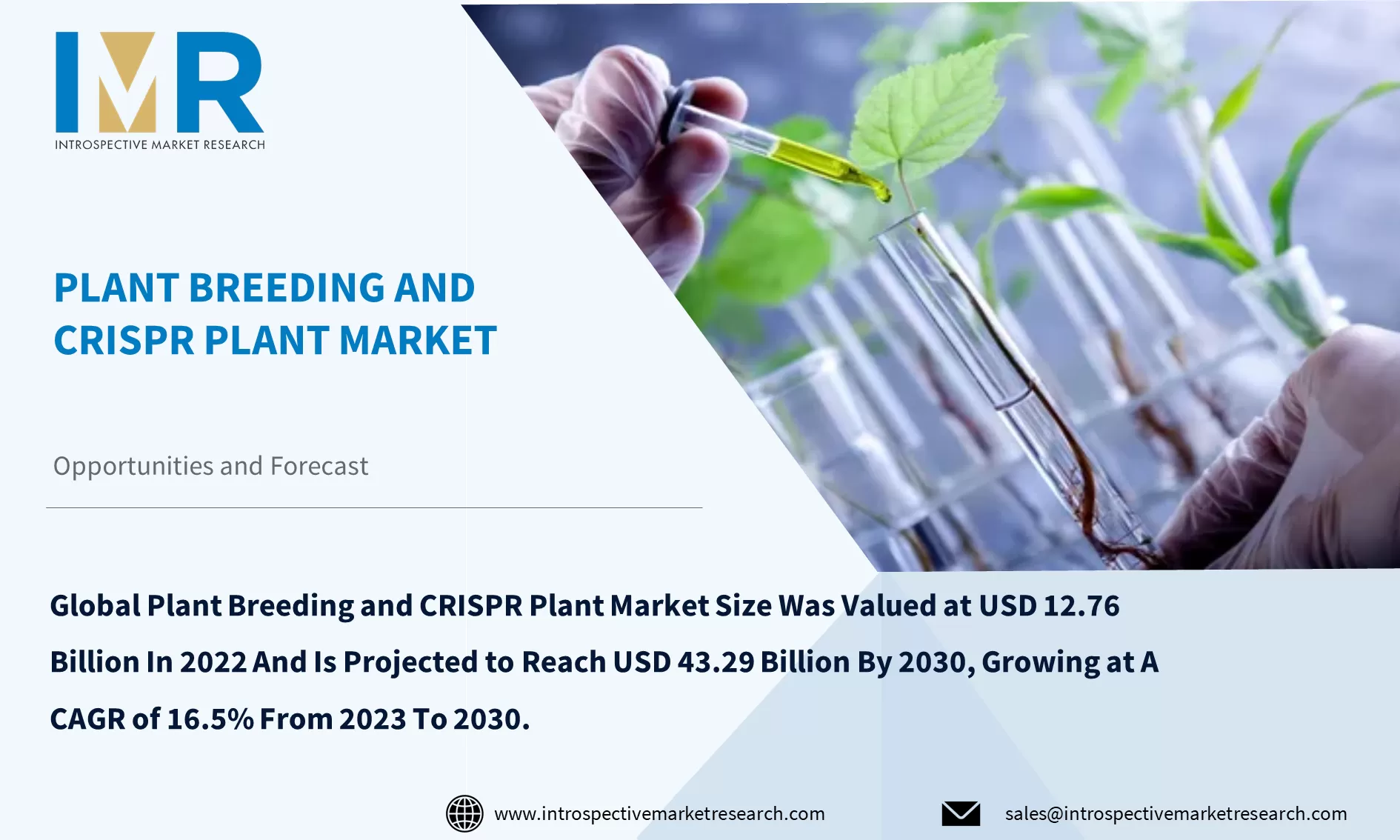 Plant Breeding and CRISPR Plant Market To Reach USD 43.29 Billion By Year 2030