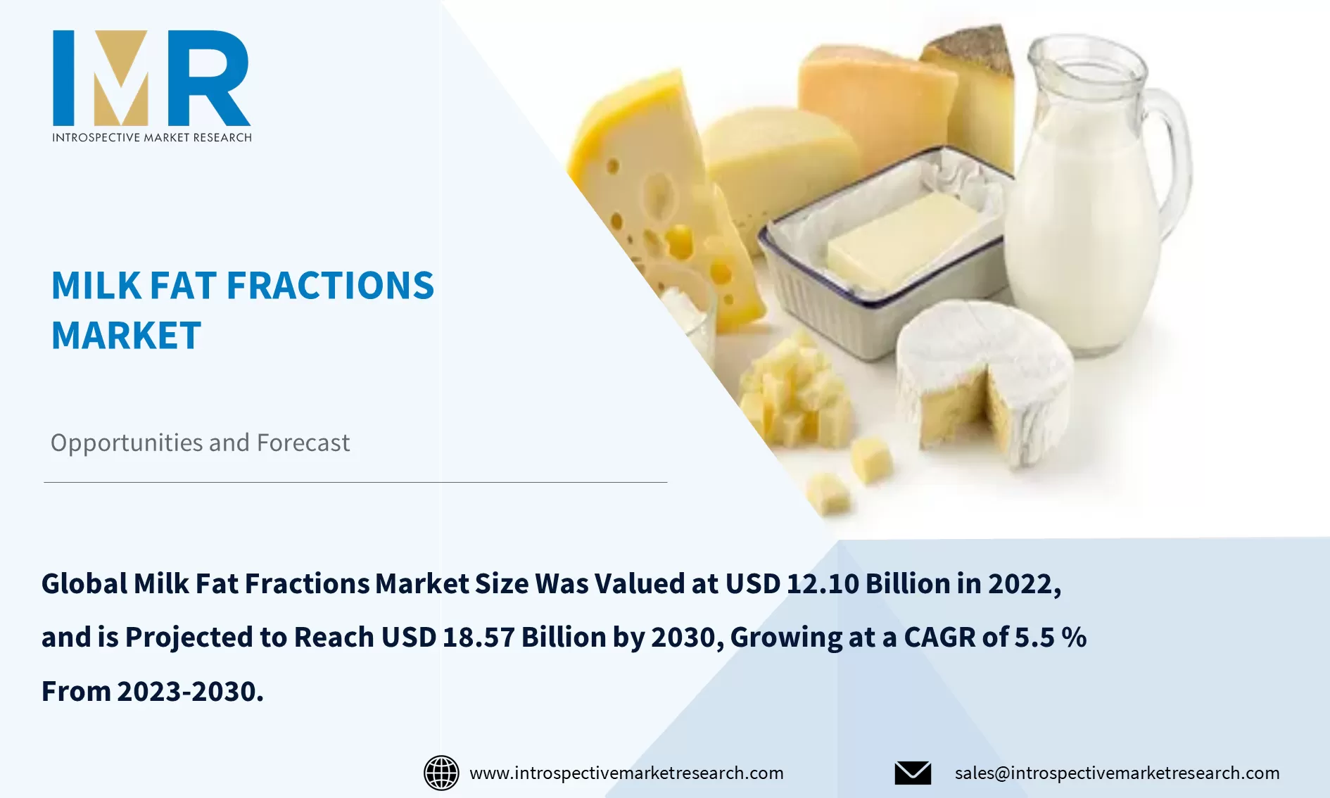 Milk Fat Fractions Market